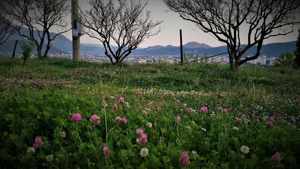 Uphill Glavanovic *
